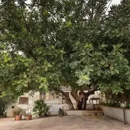 Holiday home Comfortable House With Garden In *